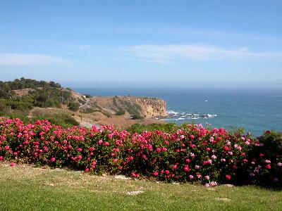 Palos Verdes